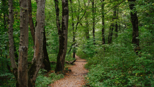 Brooks Announces Nearly $1.5 Million for Pymatuning State Park Trail Improvements